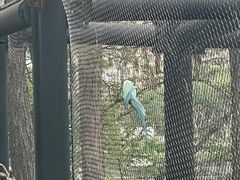 -武汉动物园