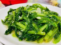 清炒油麦菜-清真·伊清阁餐厅