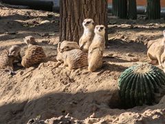 -北京野生动物园