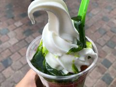 -Salud撒露欧洲冻酸奶(蓝色港湾店)
