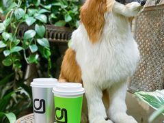 桃然乌龙-gleeglee乐溢亦茶(朝阳大悦城店)