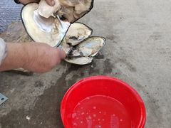 -诸暨珍珠市场