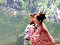 -华夏文旅海洋公园