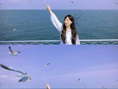 -海驴岛(荣成市)