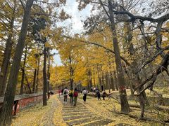 -阳台山自然风景区