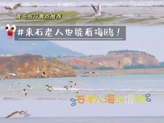 -青岛石老人海水浴场
