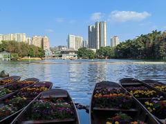 -荔湾湖公园