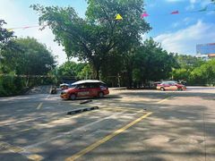 -鹏城驾校·学车·陪驾(景田店)