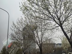 -北京盘古七星酒店