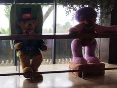 -济州岛泰迪熊博物馆