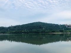-顺峰山公园