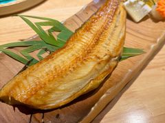 -琴寿司居酒屋(中山广场店)