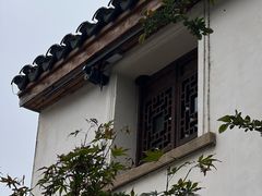 -青果巷历史文化街区