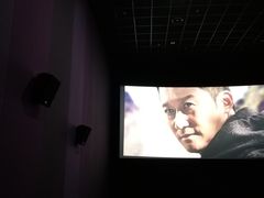 -幸福蓝海国际影城(崇安寺T12店)