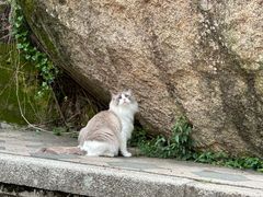 -南普陀寺