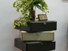 -大视光学•LINDBERG林德伯格•全球手工眼镜集合店(王府井店)