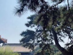 -雍和宫