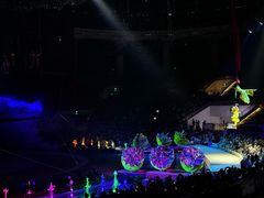 -灵玲国际马戏城