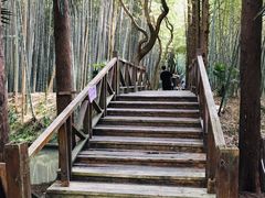 -同里国家湿地公园