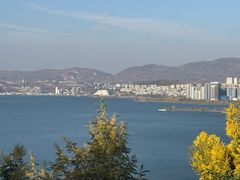 -洱海月湿地公园