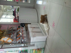 android_upload_pic-唐小姐の猫狗洗护·购宠旗舰店(周浦万达店)