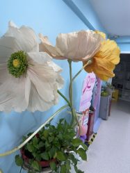 -斐尔国际皮肤管理中心