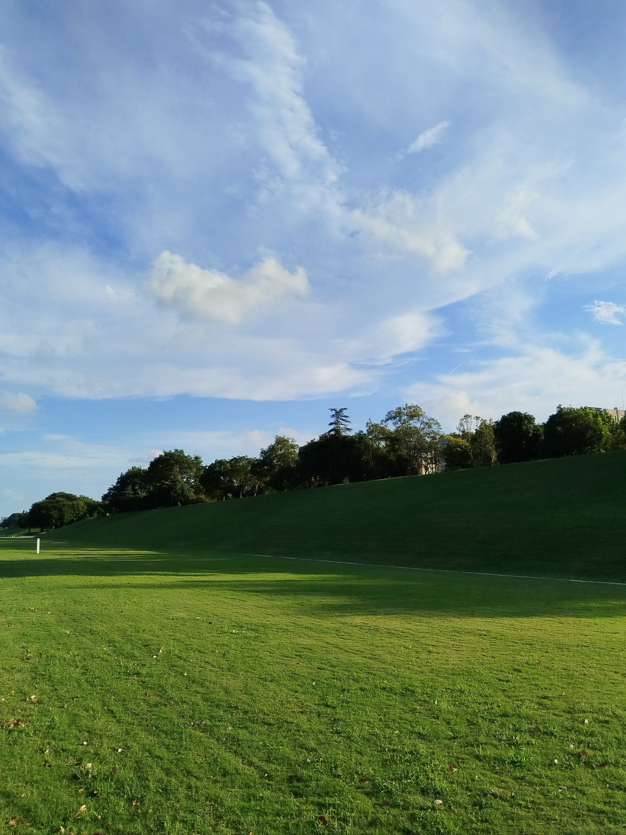 浦江这个公园的大草坪无敌了