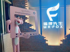 -Mr.Fox狐狸先生超级密室(南山店)