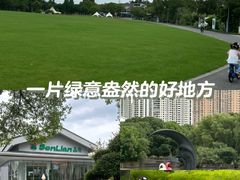 -昆山城市生态森林公园