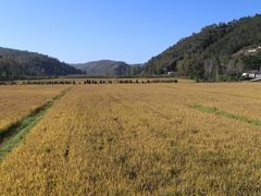 -南泥湾风景区