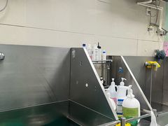 -北京观赏动物医院·24小时大型综合·猫专科·异宠专科