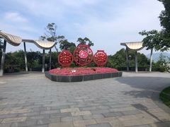 -金鸡山公园