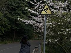 -知美术馆