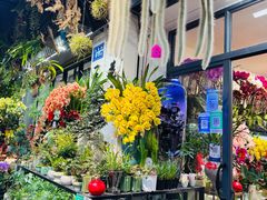 -溪岸路花鸟市场