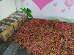 -莎蔓莉莎美容会所