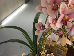 -施奈儿.洗头頭療.按摩SPA.采耳(上梅林店)