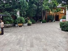 -山大王菌莊