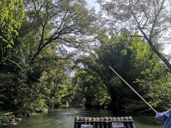 -九曲溪竹筏码头