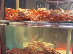 -1718海鲜姿造(苏宁宴请臻选店)