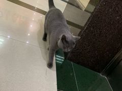 -壹人壹像工作室(购物公园店)