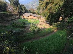 -杨家堂村