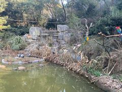 -宁波野生动物园