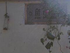 -春风十里咖啡馆