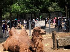 -长白岛森林公园