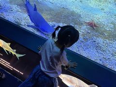 -江和美海洋公园