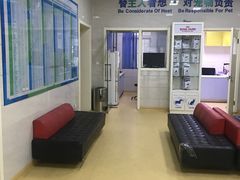 -瑞派天宁宠物医院·猫科·异宠中心