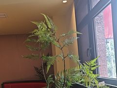 -涿派·炝锅鱼(涿州店)