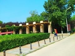 -绿堤公园