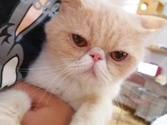 -万小咖.猫咖(中山路天虹店)