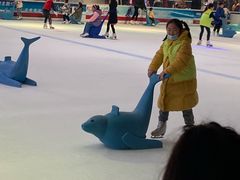 -TheRink大零溜冰场(IFS国金中心店)